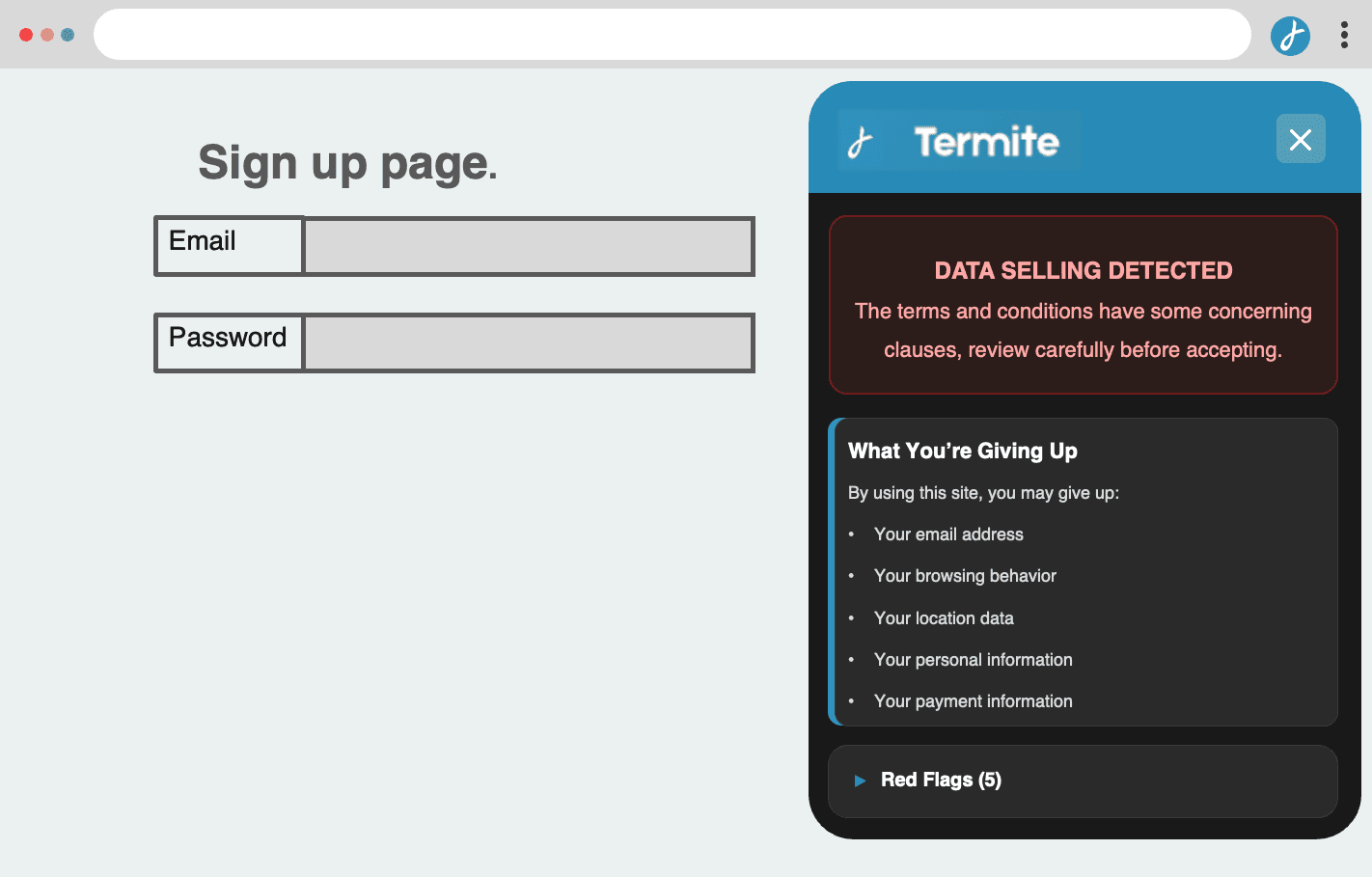 Termite Example